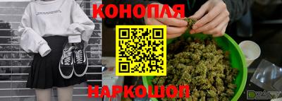 молекула духа Волжский